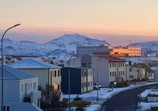 冰岛首次发现蚊子冰岛以前一直是个“无蚊国度”，但这几年情况变了——人们真的在那儿