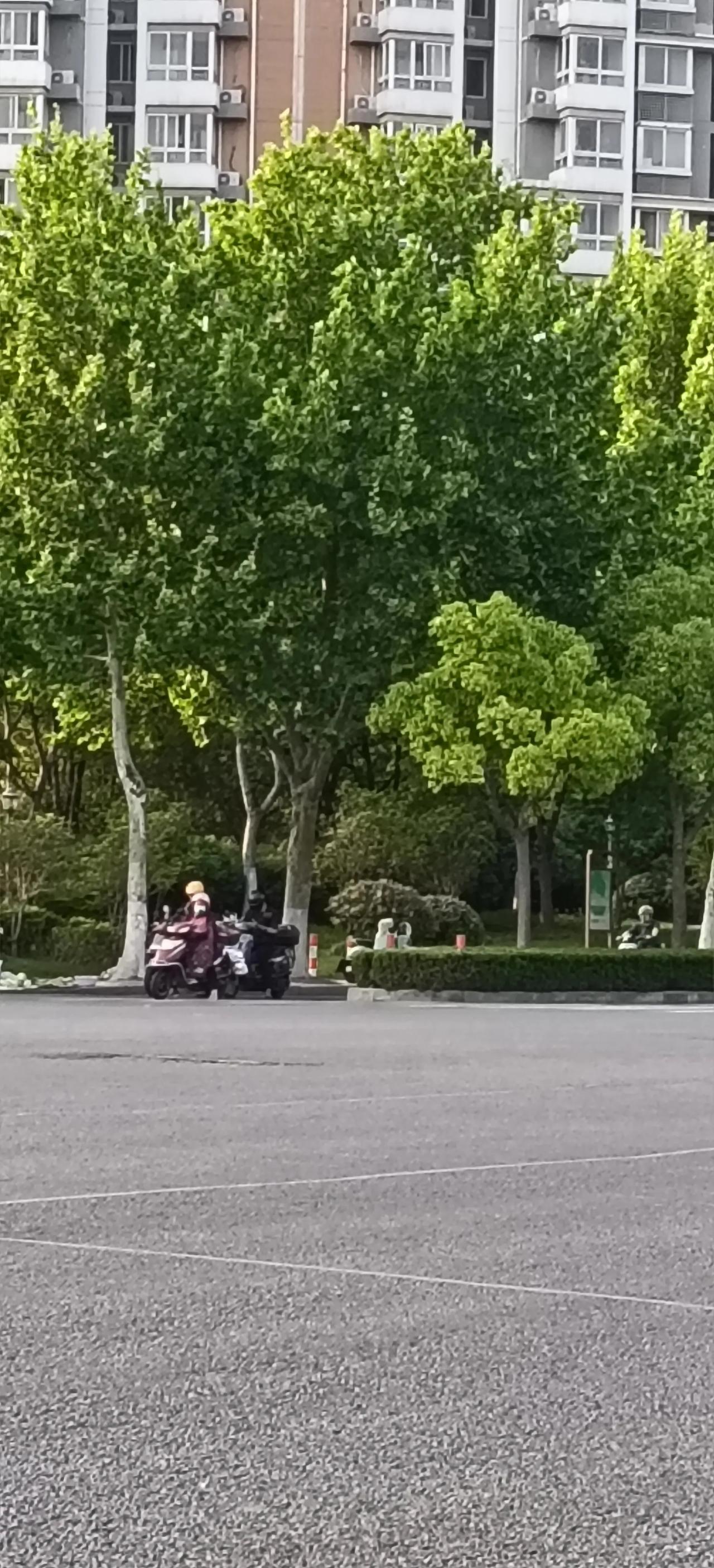 朱瞻基为何被称为促织天子?

明宣宗朱瞻基文治武功堪称明君，开创仁宣之治，却偏偏