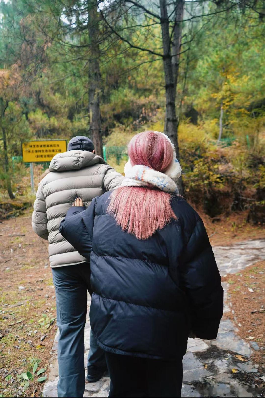 白鹿推着沙溢向前走白鹿推着沙溢走沙溢白鹿父慈女孝 ​​​王楚然对白鹿生理性喜欢 