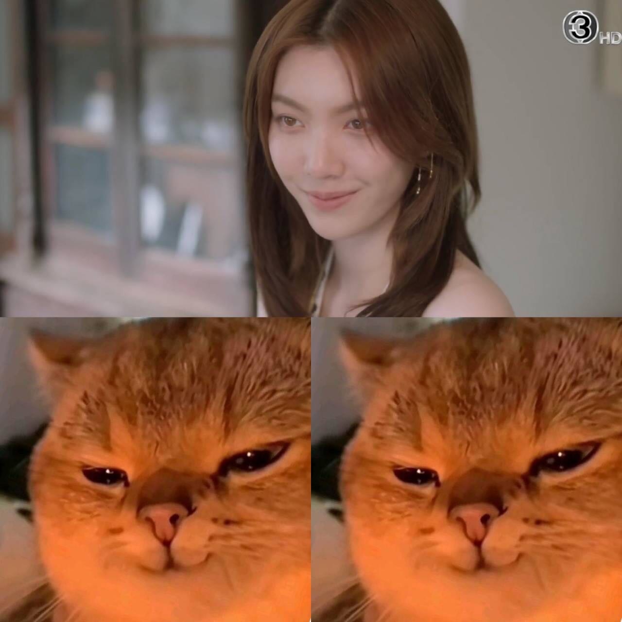Neen：我有一个坏点子 