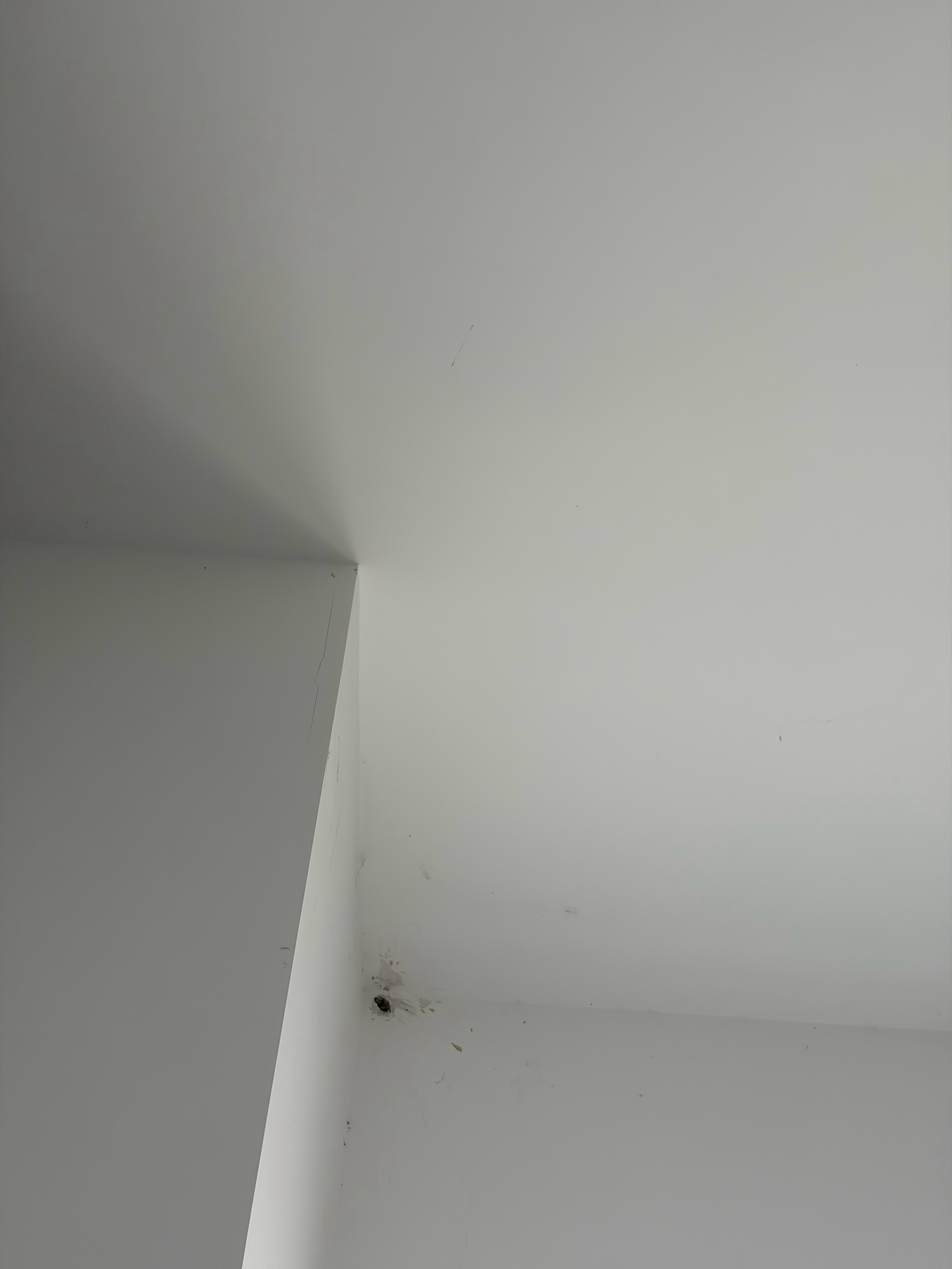 买了个绿幕打算挂起来，需要两边天花板各打四个孔，本来我有冲击钻也有梯子，就是懒得