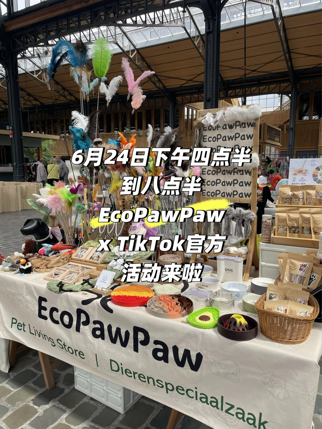 EcoPawPaw X TikTok官方活动来啦