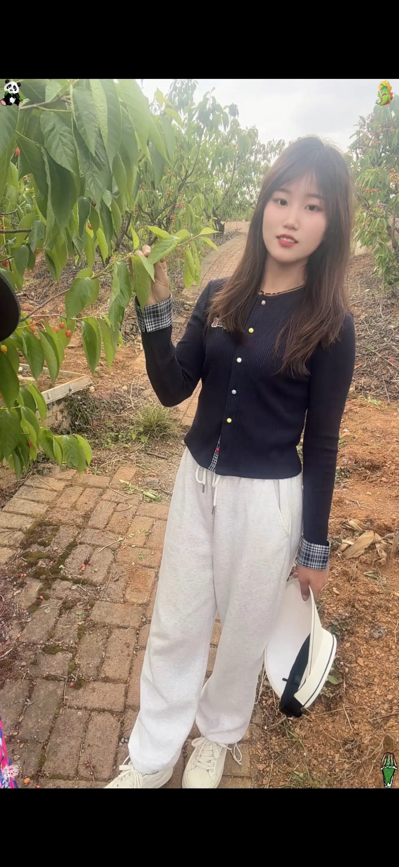 出门采摘的快乐➰🧺 ◡̈今天是樱桃味儿的一天吖.🍒