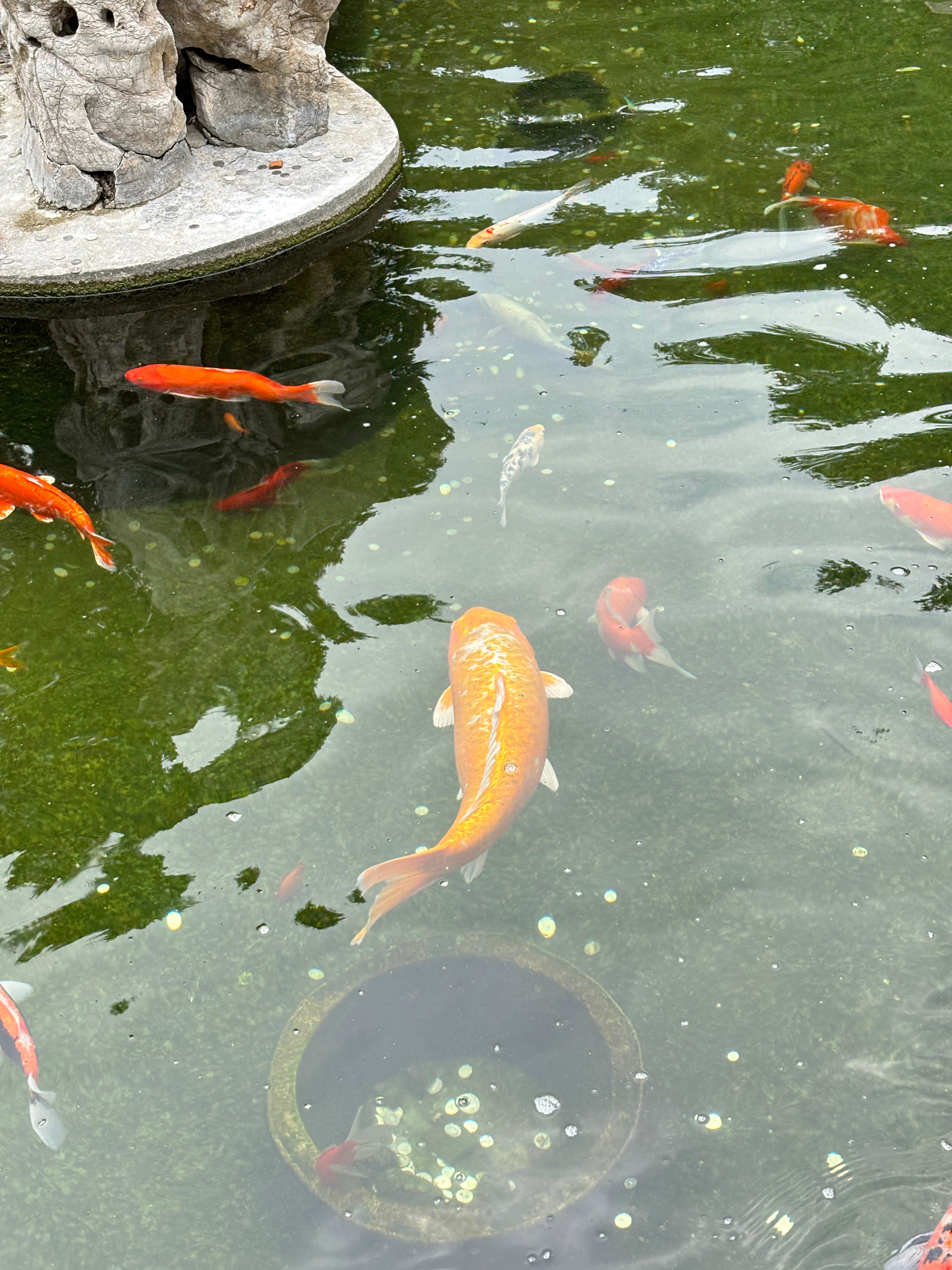 科普tips：过病气、过衰气，所以人一定不要过于节俭，穿了很久的衣服、鞋子，特别