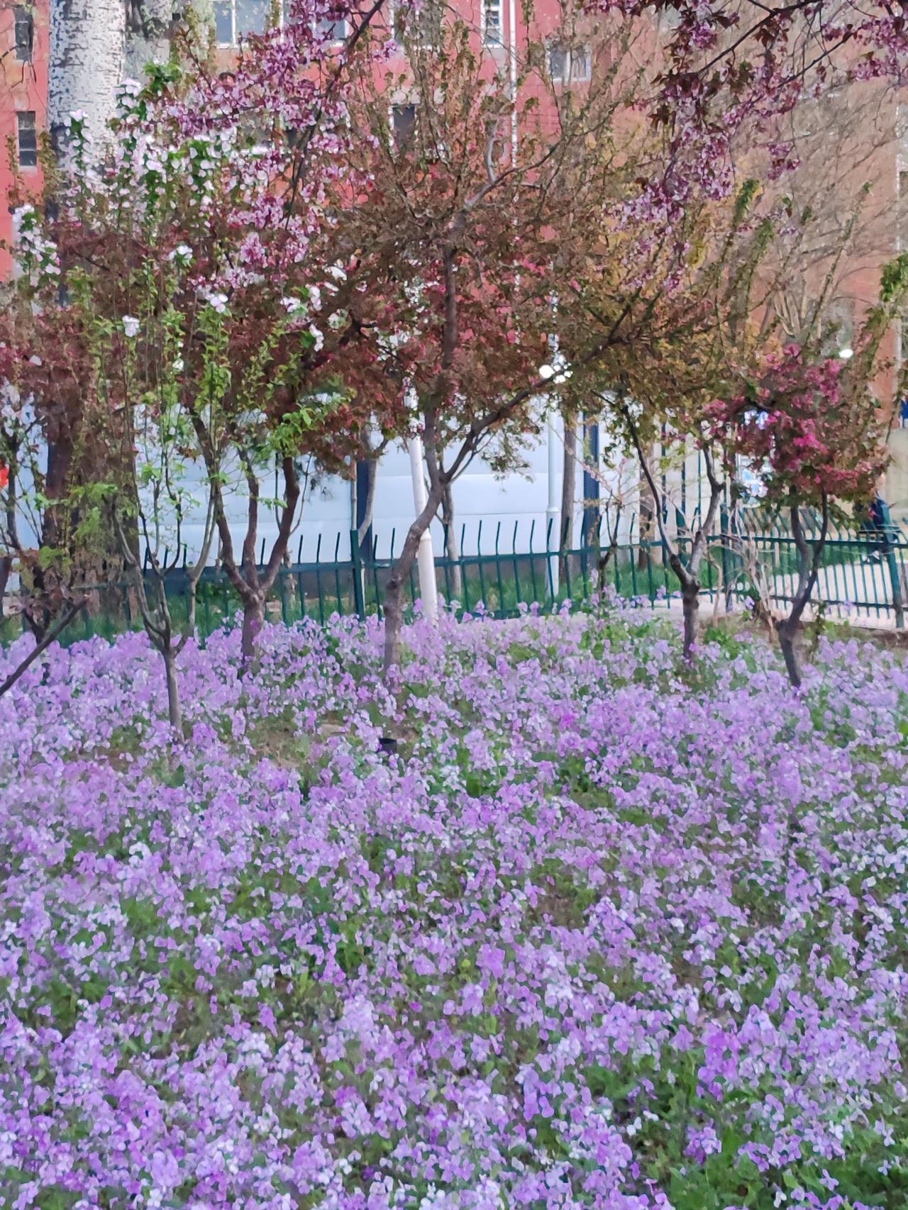在多子女家庭中，若老人没有收入来源，部分子女既不支付生活费，还将孩子寄养在老人处