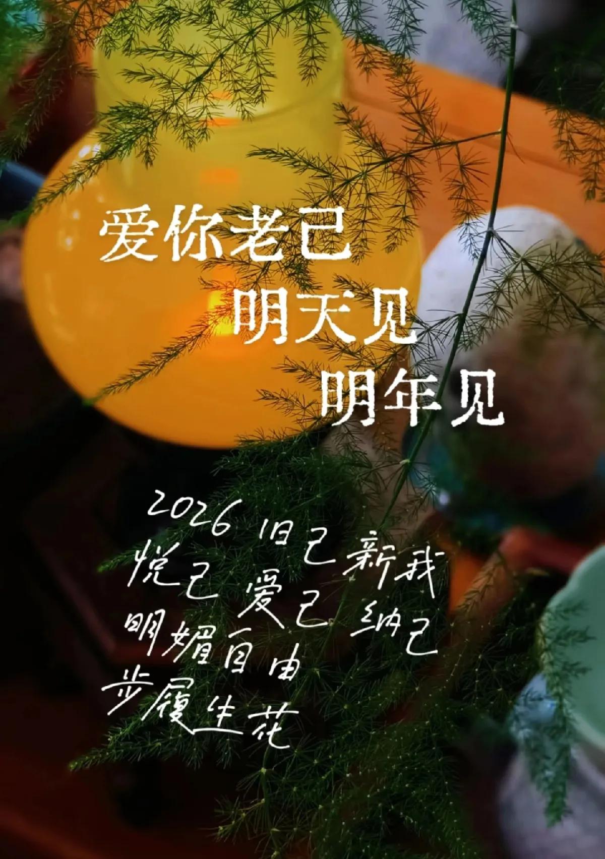 爱你老己，明天见，明年见

2026，悦己，爱己，纳己

明媚阳光，步履生花🎊