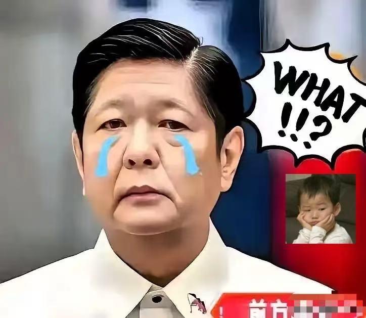 就在刚刚
菲律宾正式宣布
11月11日，菲律宾国家减灾管理委员会最新通报，台风“