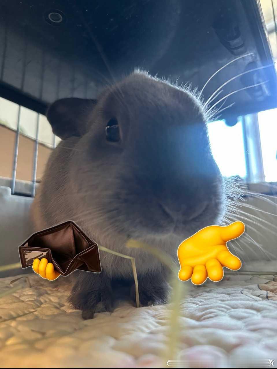 15013🐇【感谢14948缟纻的素材】你的固执委屈隐忍 纸壳子充电线踢脚线 