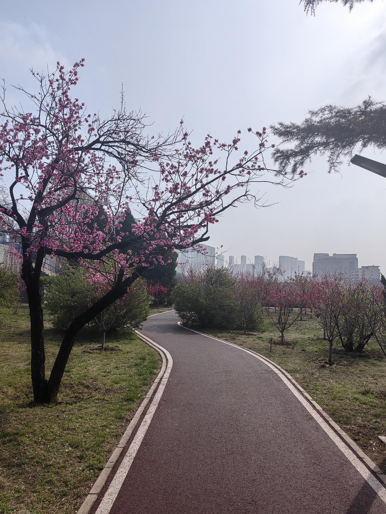 为何定都南京的王朝都难以长久呢？原因在于此地航运发达。在古代运输体系里，航运最为