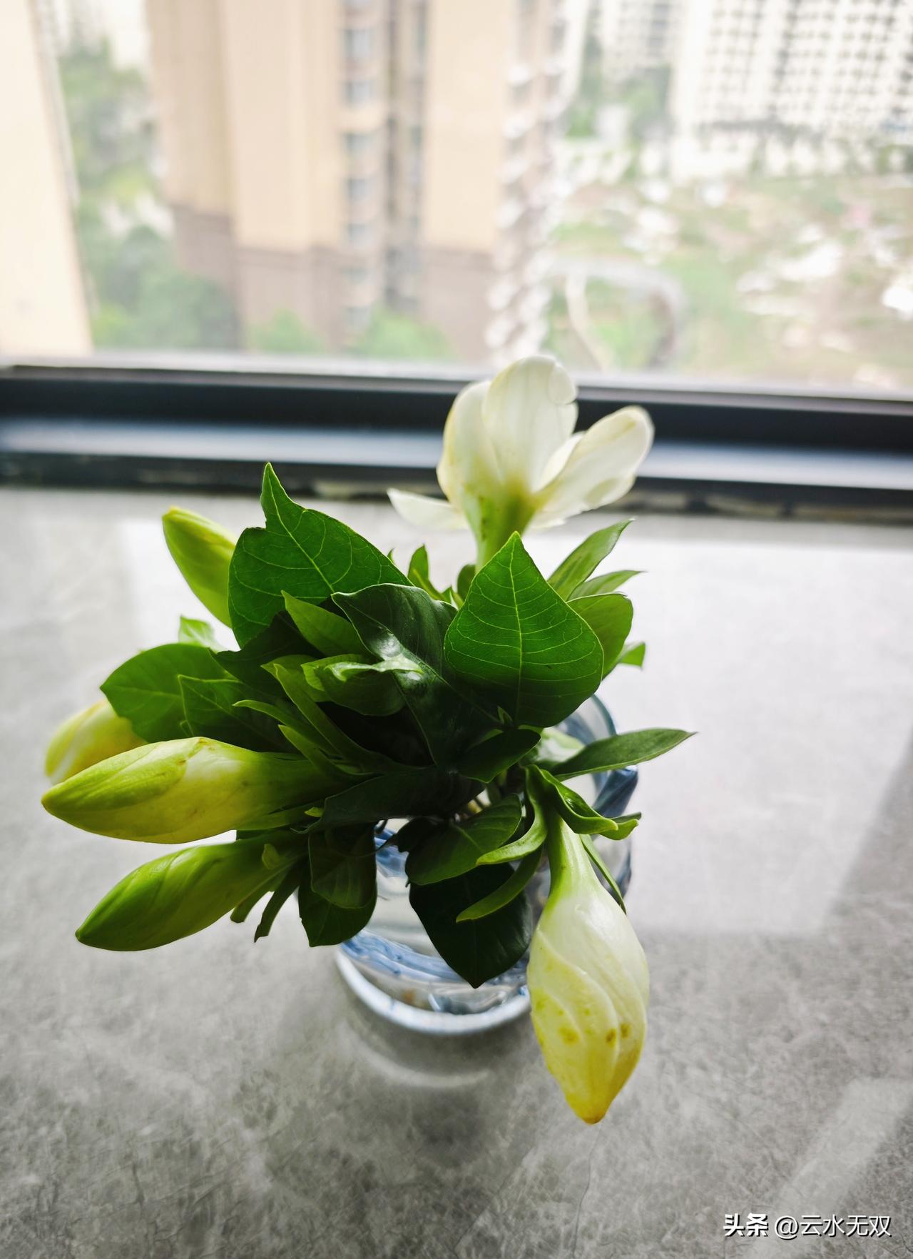 对配偶，只共存，不求爱，求爱心不宁家难安，无爱可破情局。
对子女，只养育，不期待