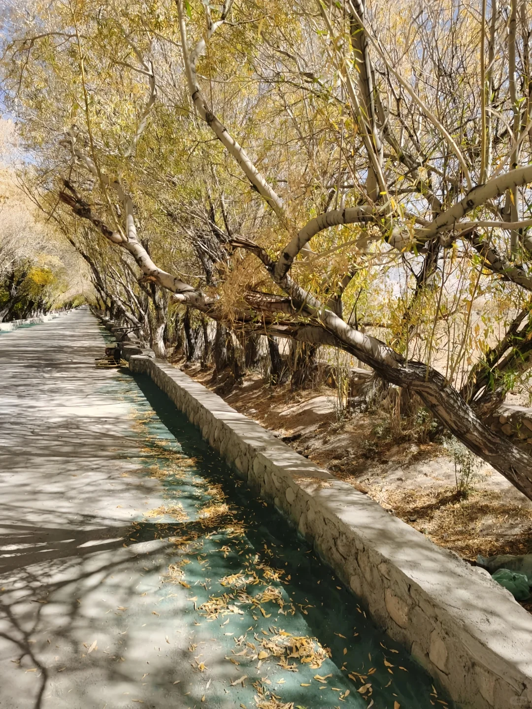 虽然很难听，但的确是喀什旅游现状。。。