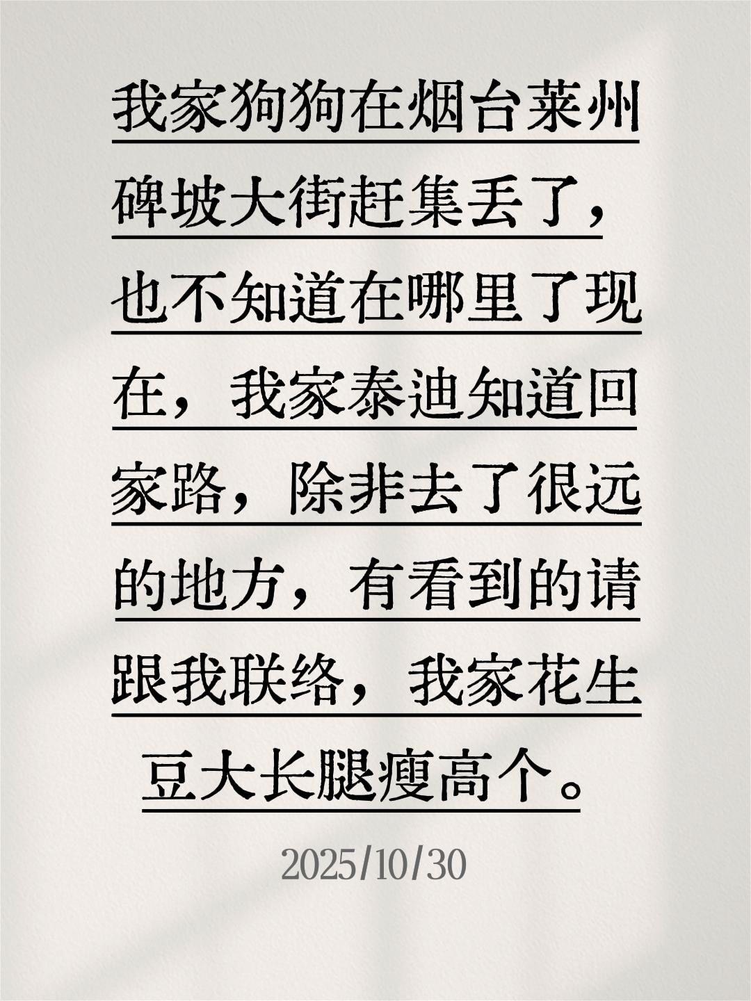 莱州同城。我评论了 的作品: 我家狗狗在烟台莱州碑坡大街赶集丢了，也不...