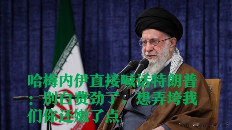 哈梅内伊隔空喊话特朗普：想弄垮我们你还嫩了点

    据外媒报道随着美伊局势再