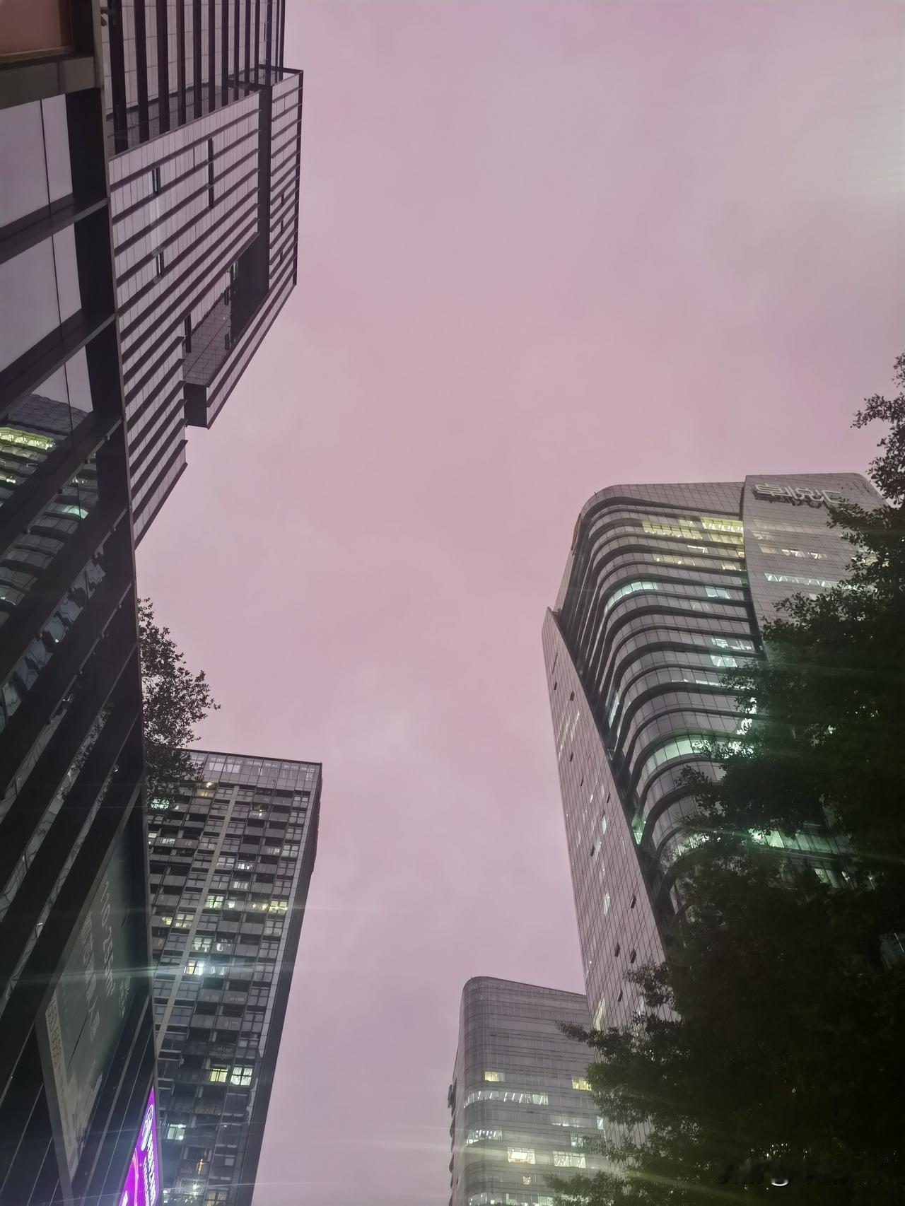 起风了，天冷啦！