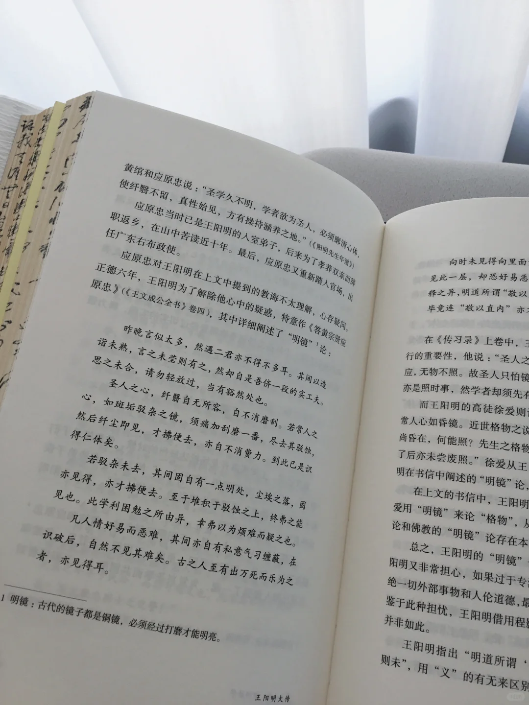 “一生俯首拜阳明”