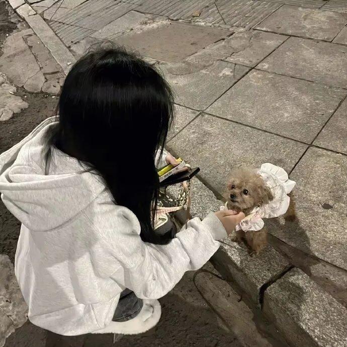喂小狗时的俏皮、抱小狗时的软萌、喂羊驼时的活泼，每一种状态都带着满满的活力。
卫
