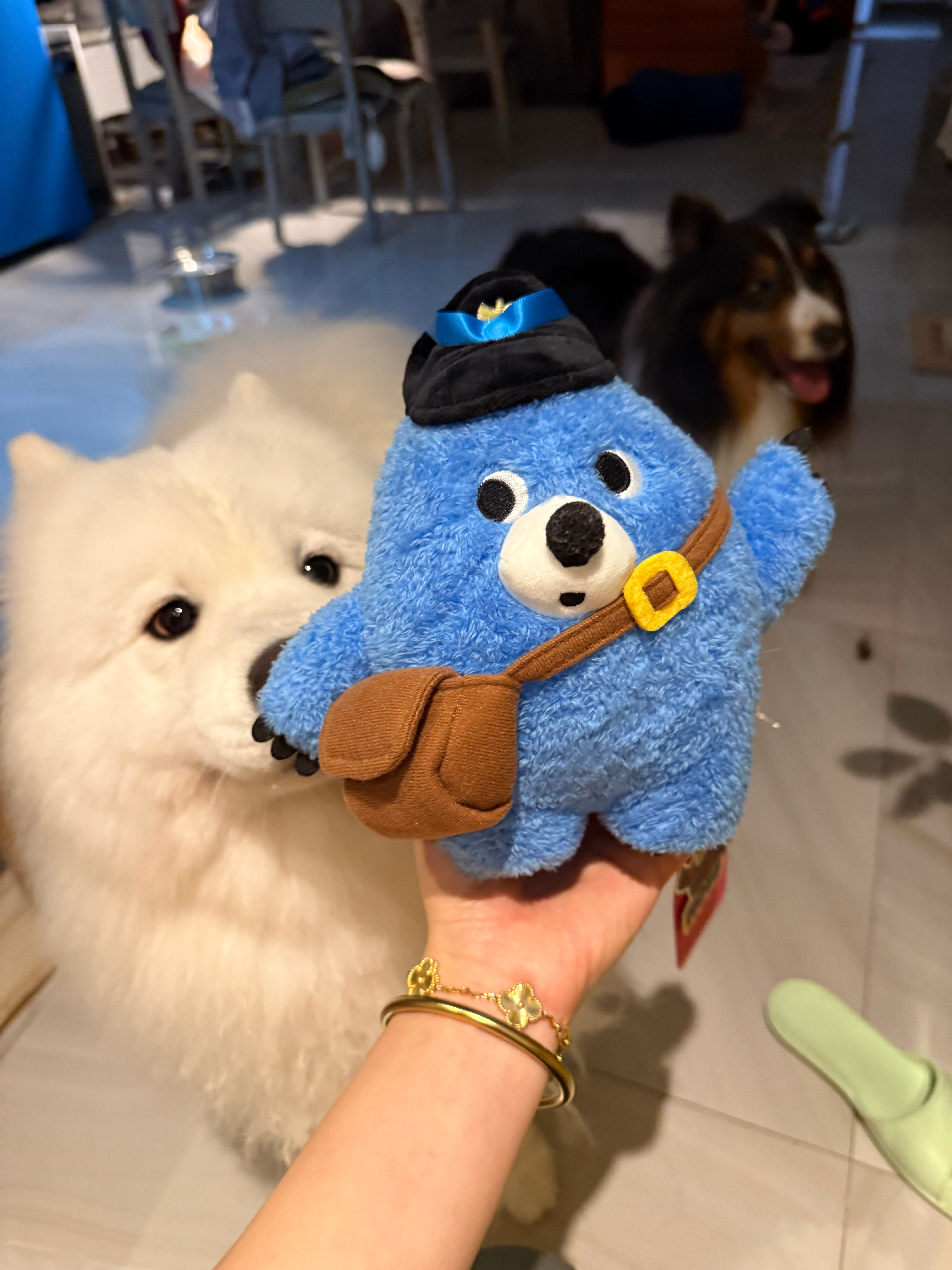 Mofy 可爱晕我了，那白的以为是狗玩具呢，我可要保护好了