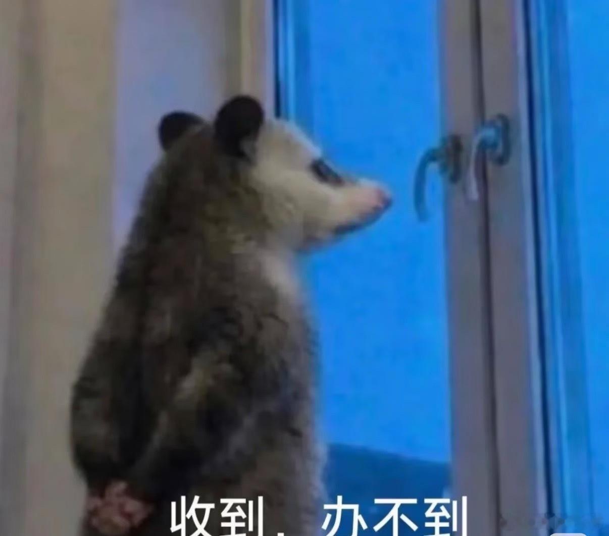 选择性辞职，辞职的时候真的要考虑一下时间了，上份工作就没算好时间，快要过元旦的时