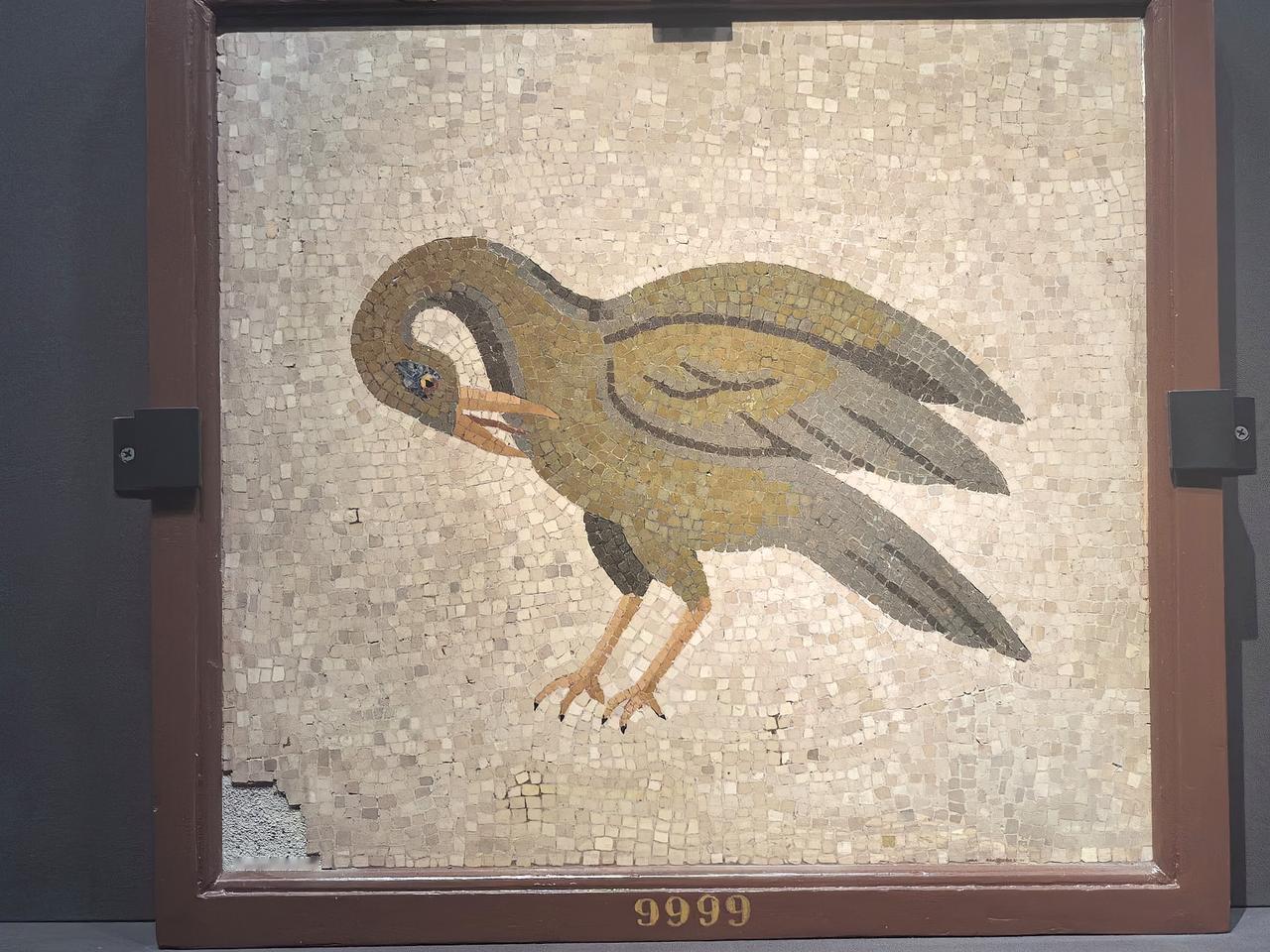 庞贝文物展（一）