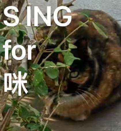 49730【丑猫】歌剧魅咪，小图像花菇。 