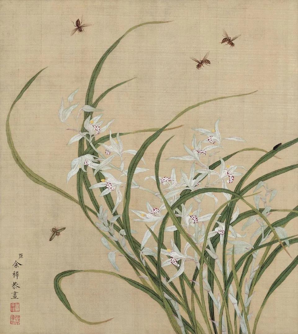 在清代画坛的璀璨星河中，余稚（约十八世纪）虽声名不显，却以独具一格的花鸟画卷，留