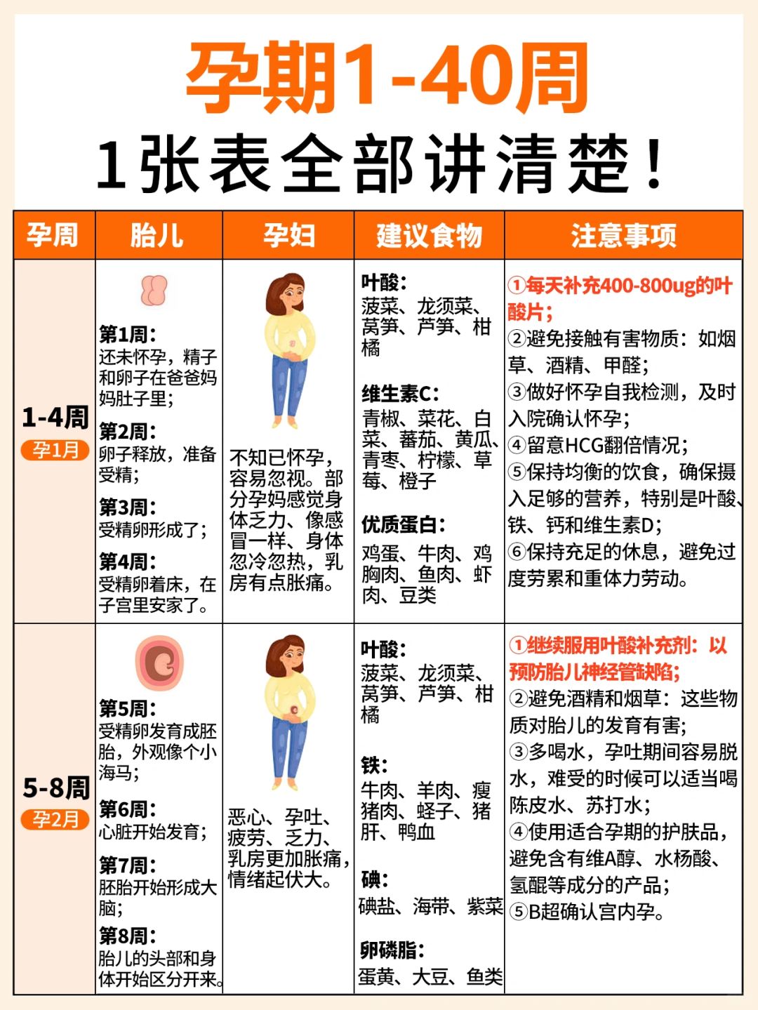 孕期1-40周👉注意事项+营养补充一篇讲透