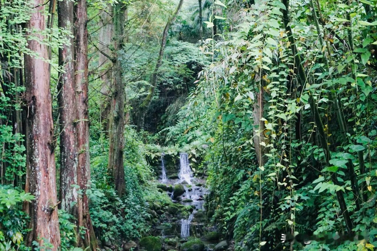 在广州生活

就像花儿一样
一辈子都温柔绽放
不争高处风光，不恋世间浮华
 
就