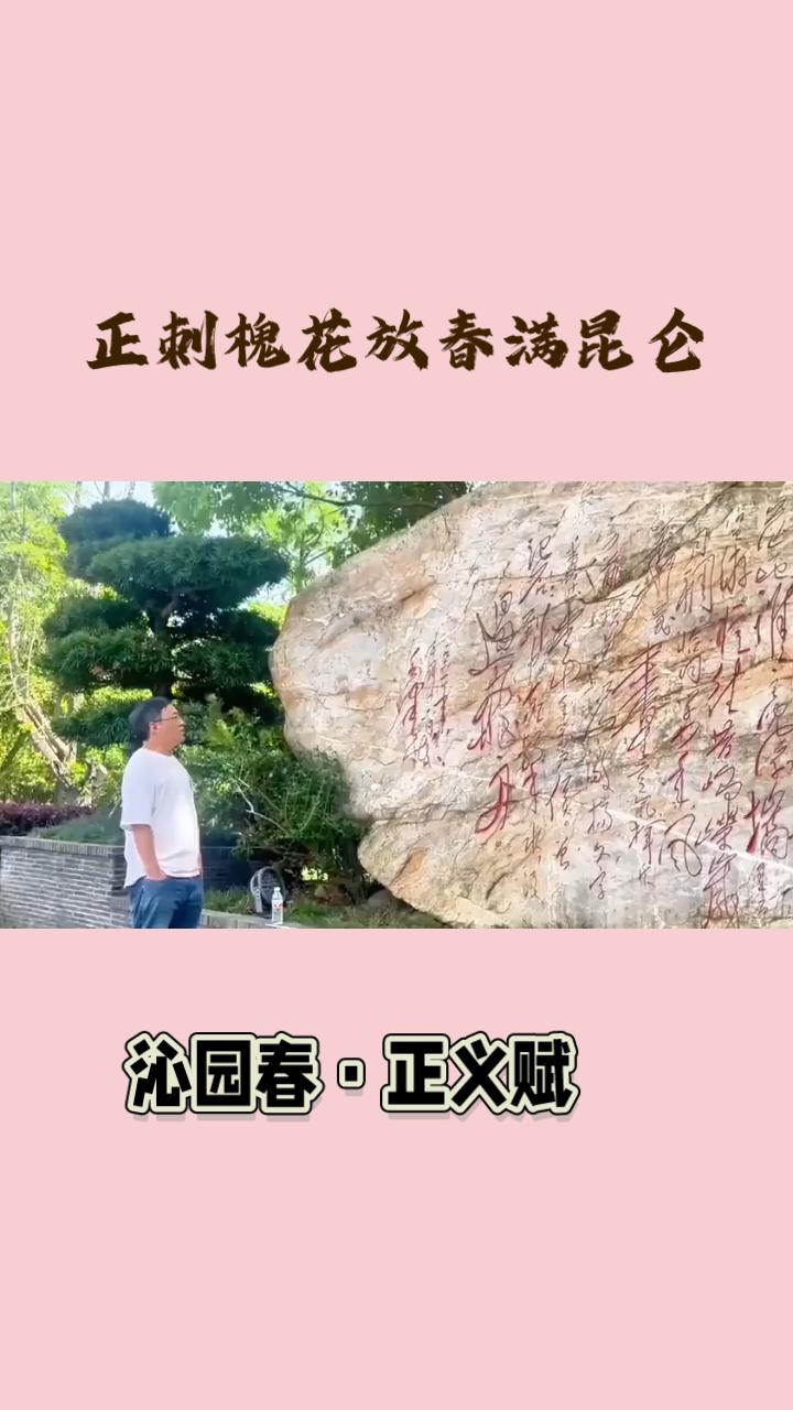 沁园春•正义赋原创视频 原创作品