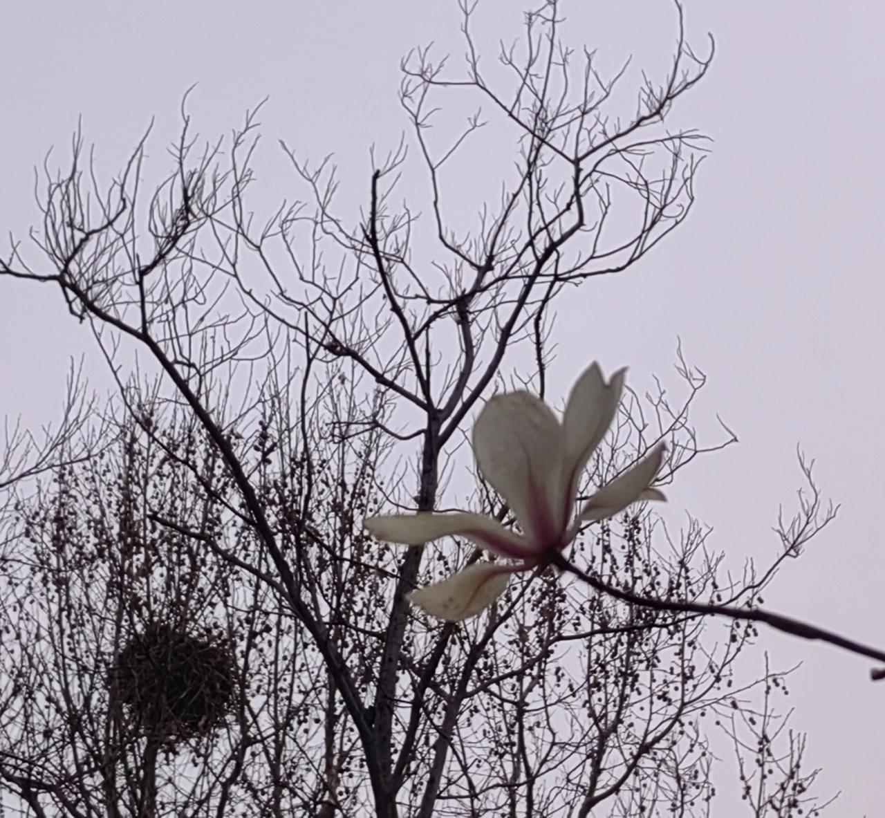 一位读研的外甥女向舅舅诉苦：50多岁的女导师最难伺候，能把人折腾死！
舅舅告诉她