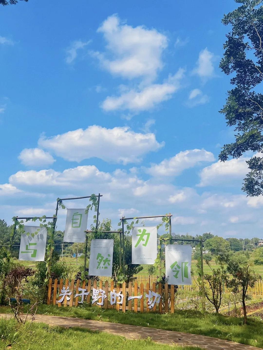 五一长沙露营全攻略：9大宝藏营地解锁乡野松弛感，遛娃萌宠狂欢全适配
 
2026