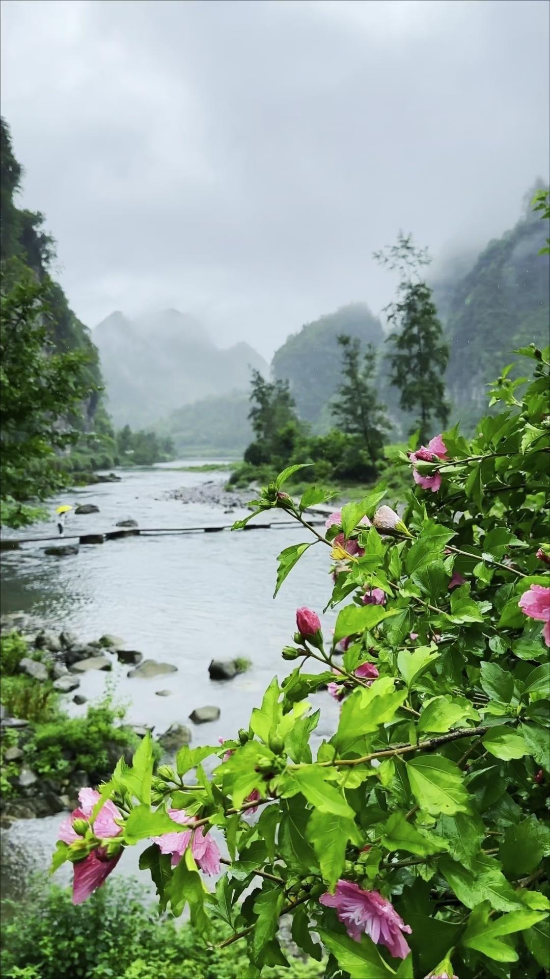 ✨湘西德茹村的风景，像被时光温柔以待。红墙黛瓦依偎在青山绿水间，溪水潺潺像是在轻