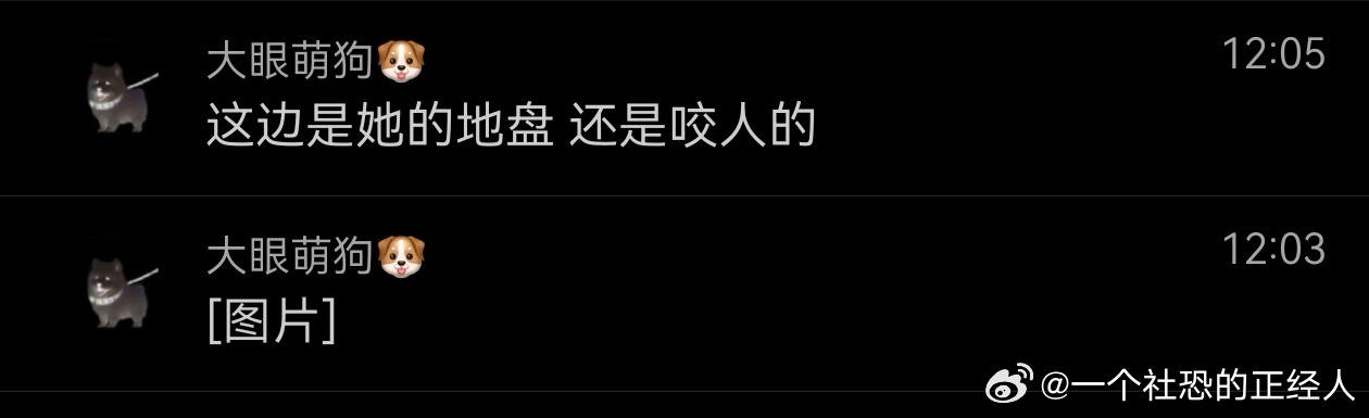 小叽 叽：你来我的地盘我就咬你🐦早上吹口哨挑衅妈妈 下午睡在妈妈肩膀上