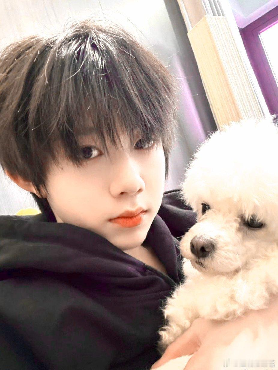 陈奕恒[超话]  💜陈奕恒 恒心成蝶赴新程💜陈奕恒四代vocal担当💜陈奕