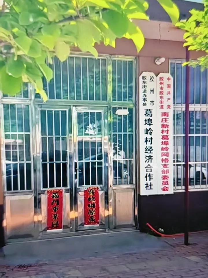 根据清廉之岛消息，青岛胶州市胶东街道葛埠岭村党支部书记、经济合作社理事长李水海涉