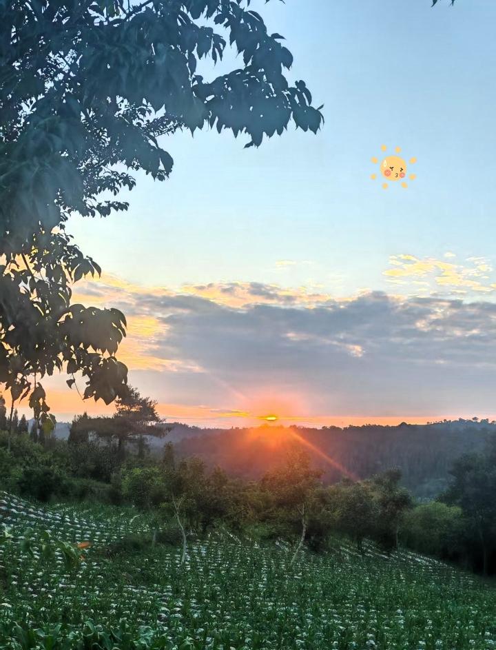 家人们！
你看这夕阳，也太治愈了吧！

站在田埂上看着太阳慢慢往下落，整个天空都