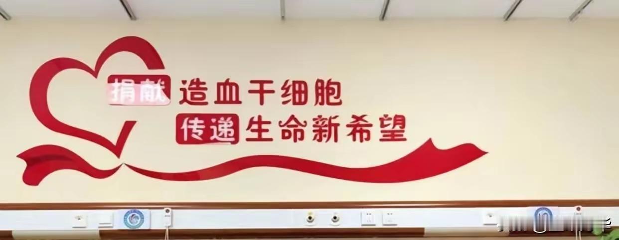 郑州有一位月薪仅四千多的普通文员，她以生理期不适为由请假，瞒着身边所有人，默默捐