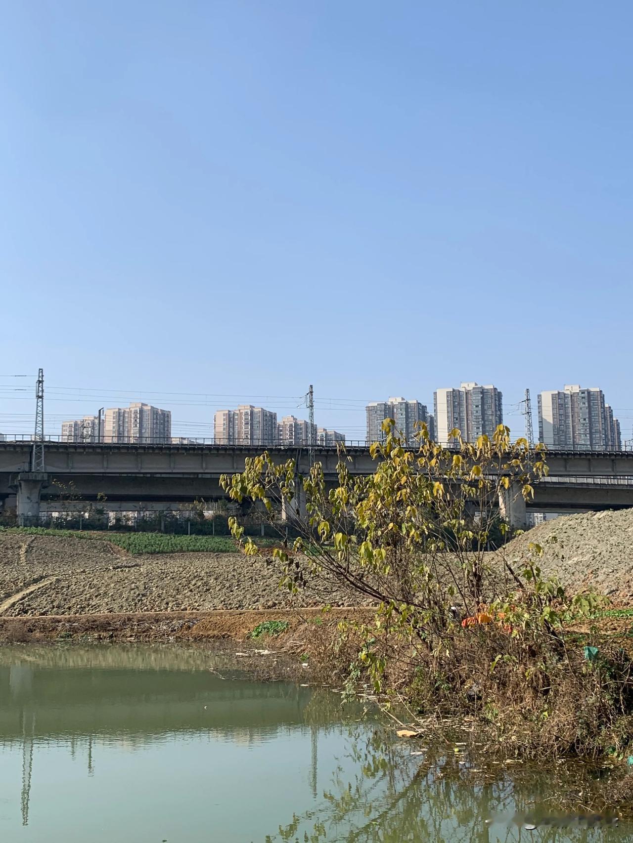 成都今天（1月5日）重污染天气黄色预警。公交车免费乘坐，坐地铁票价打八折。为减少