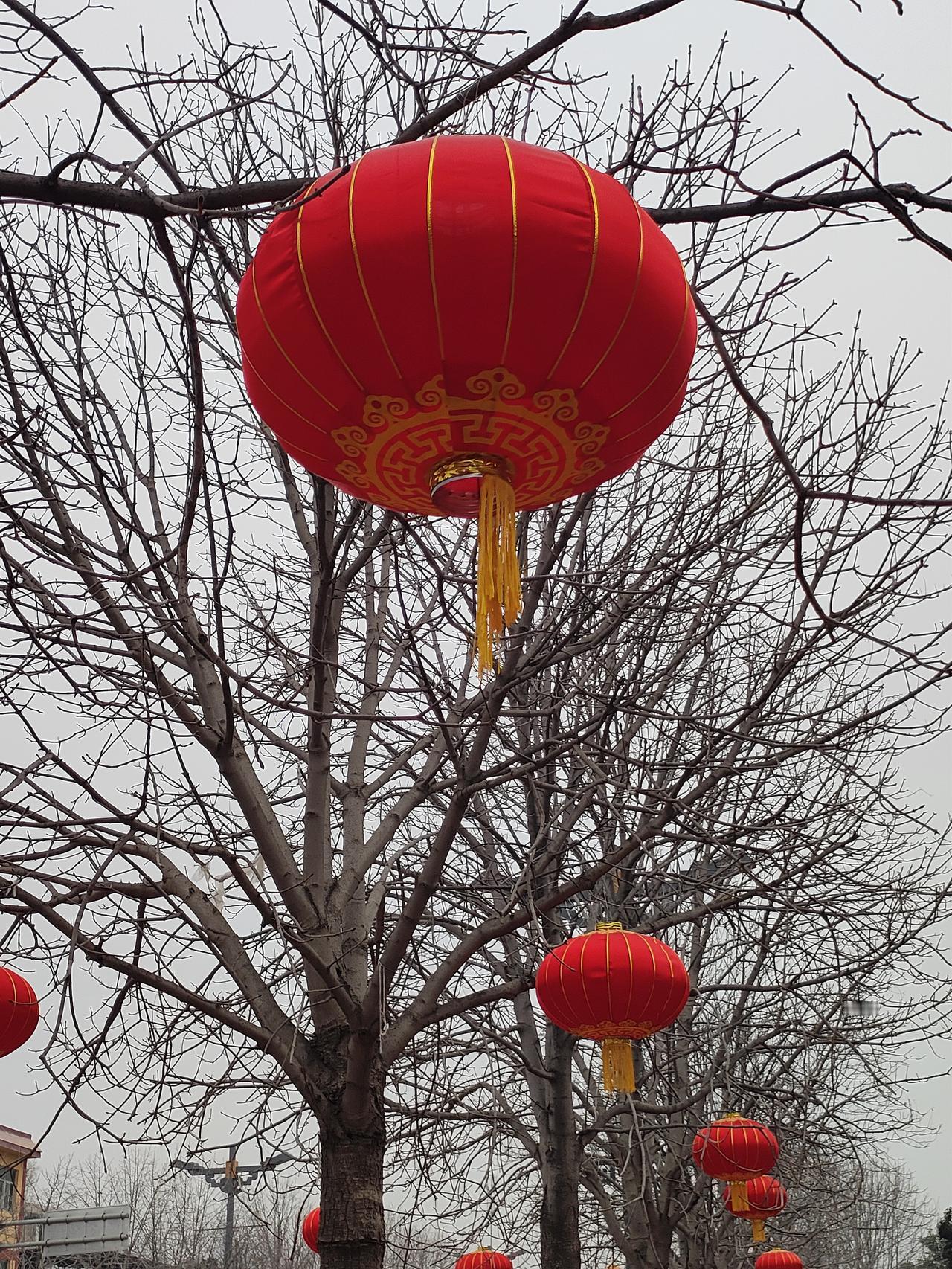 人到一定年纪，不是看懂了，而是算了吧
 
年轻的时候，总爱争个是非对错，凡事都要