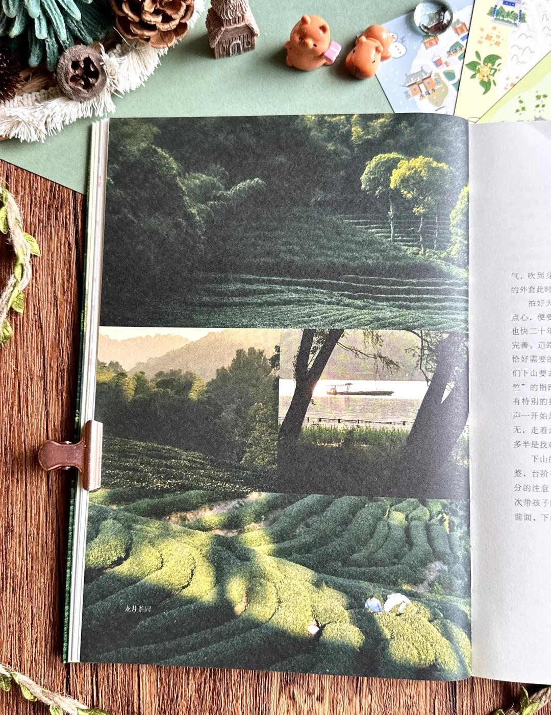 🗓️照着这本书爬杭州，一整年周末不重样
📅救命！终于有人把杭州的12个月排明