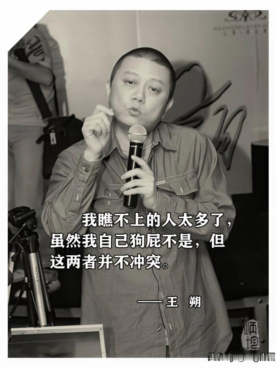 王朔说：“我瞧不上的人太多了，虽然我自己狗屁不是，但这两者并不冲突”，王朔做人做