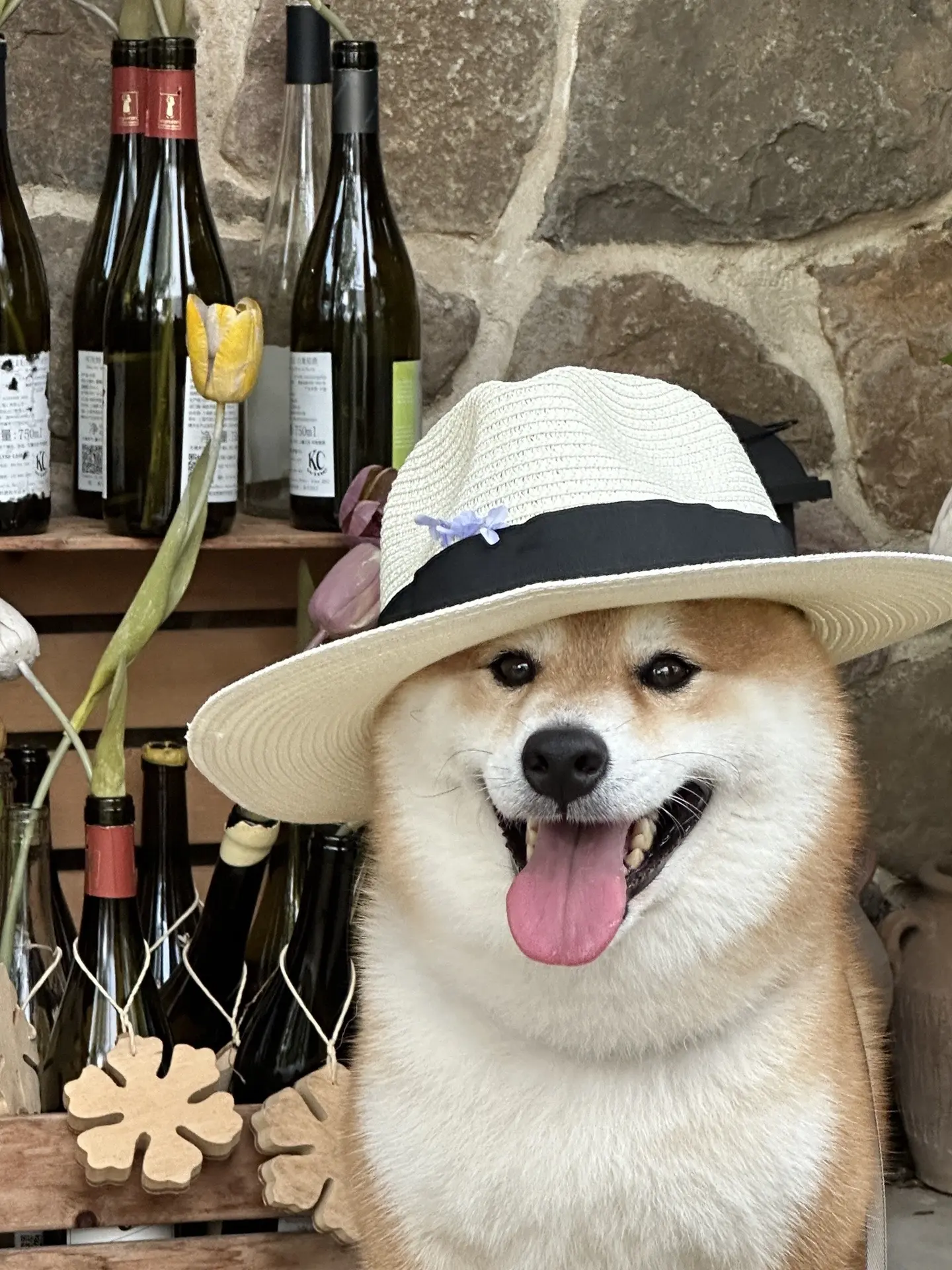 《心地善良的大款》