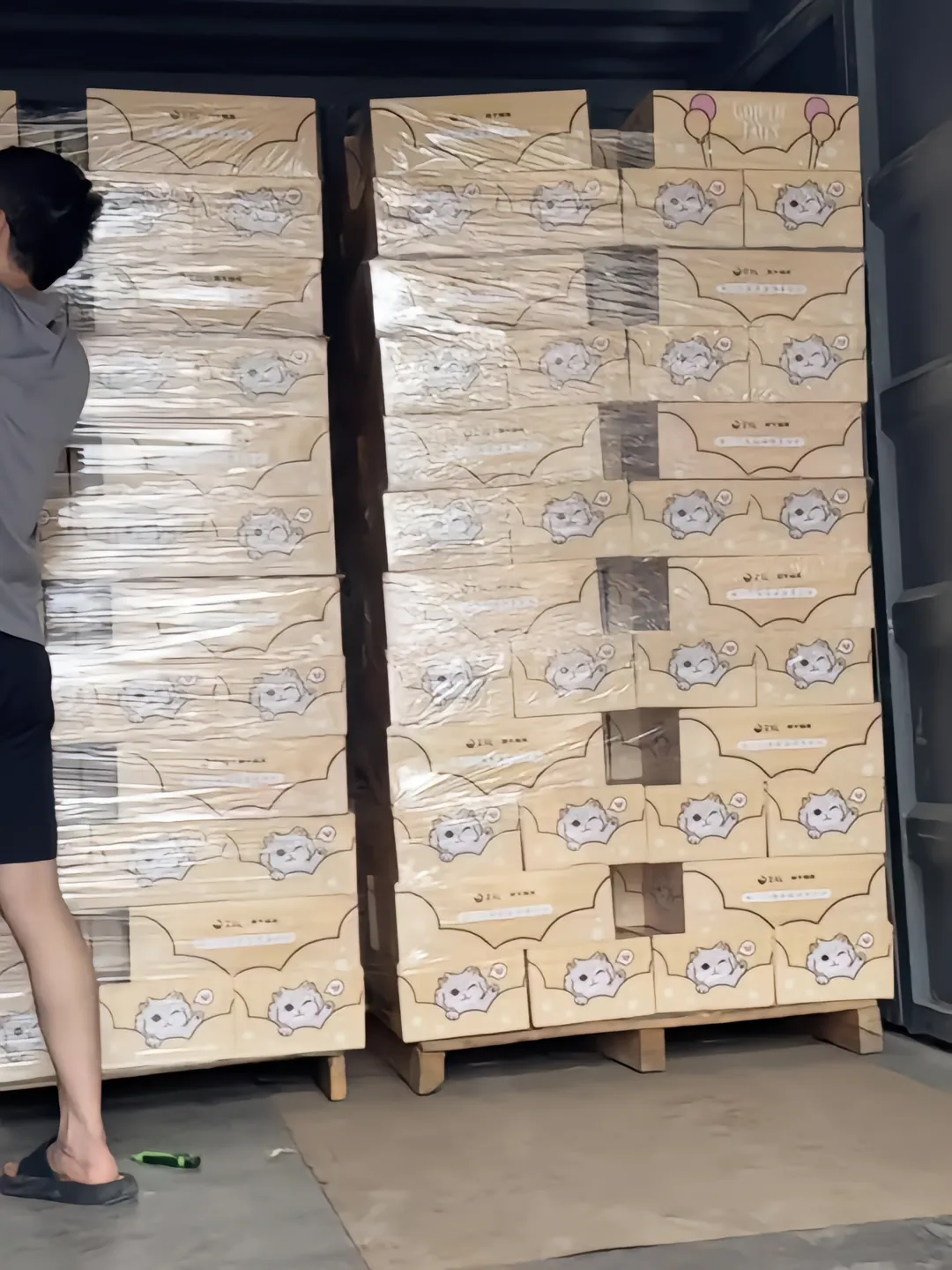 小小礼盒先去上海啦📺