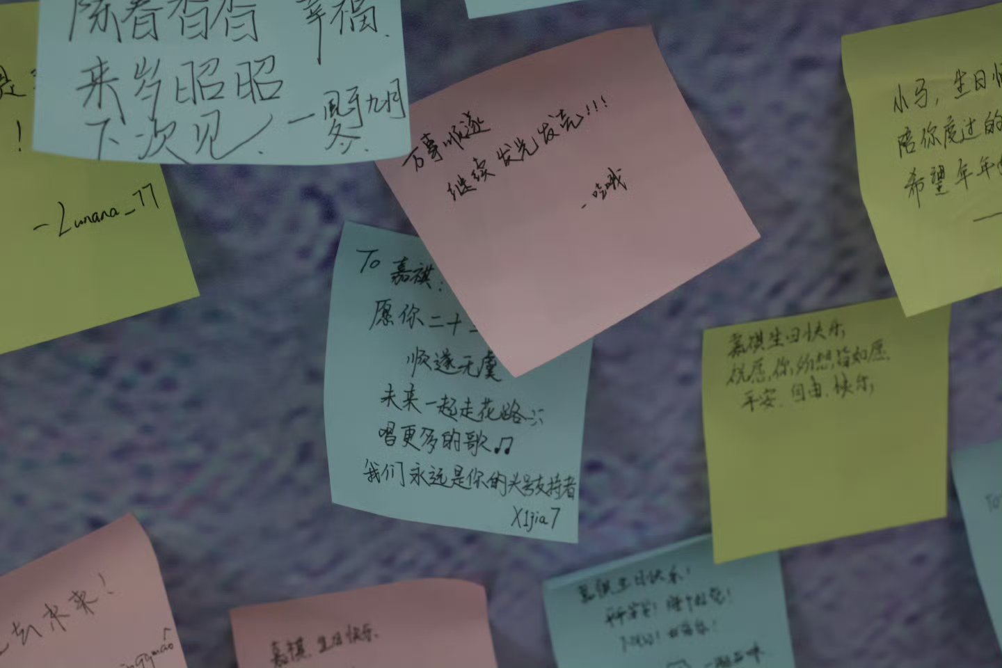 马嘉祺一眼看到粉丝留言 马嘉祺和马芙的红线硬的像钢丝 