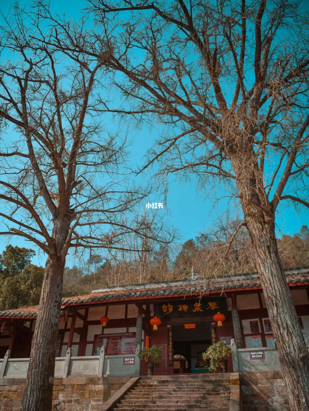 成都1.5h|集齐灵泉、古树、杜甫的千年庙宇