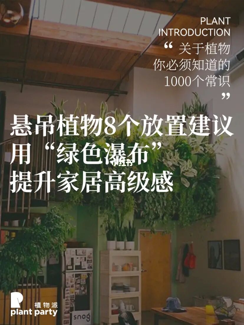 找到啦😭9种提升颜值空间感植物吊挂位置‼️