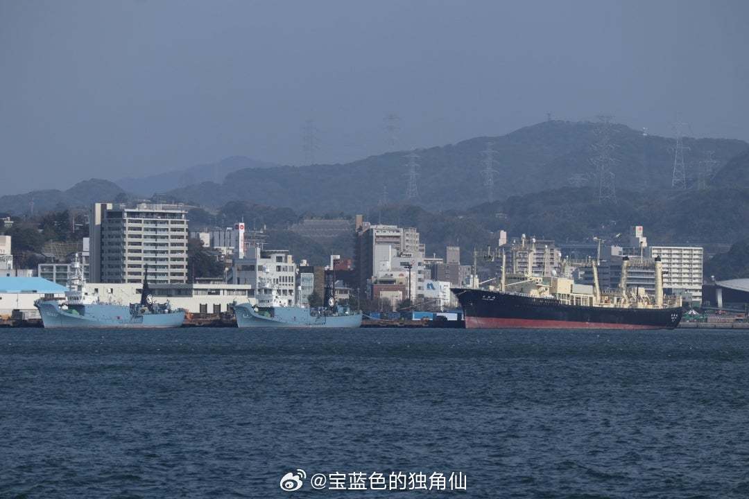 捕鲸母船“日新丸”与捕鲸（炮）船“勇新丸”“第三勇新丸”#中外舰闻[超话]# ​