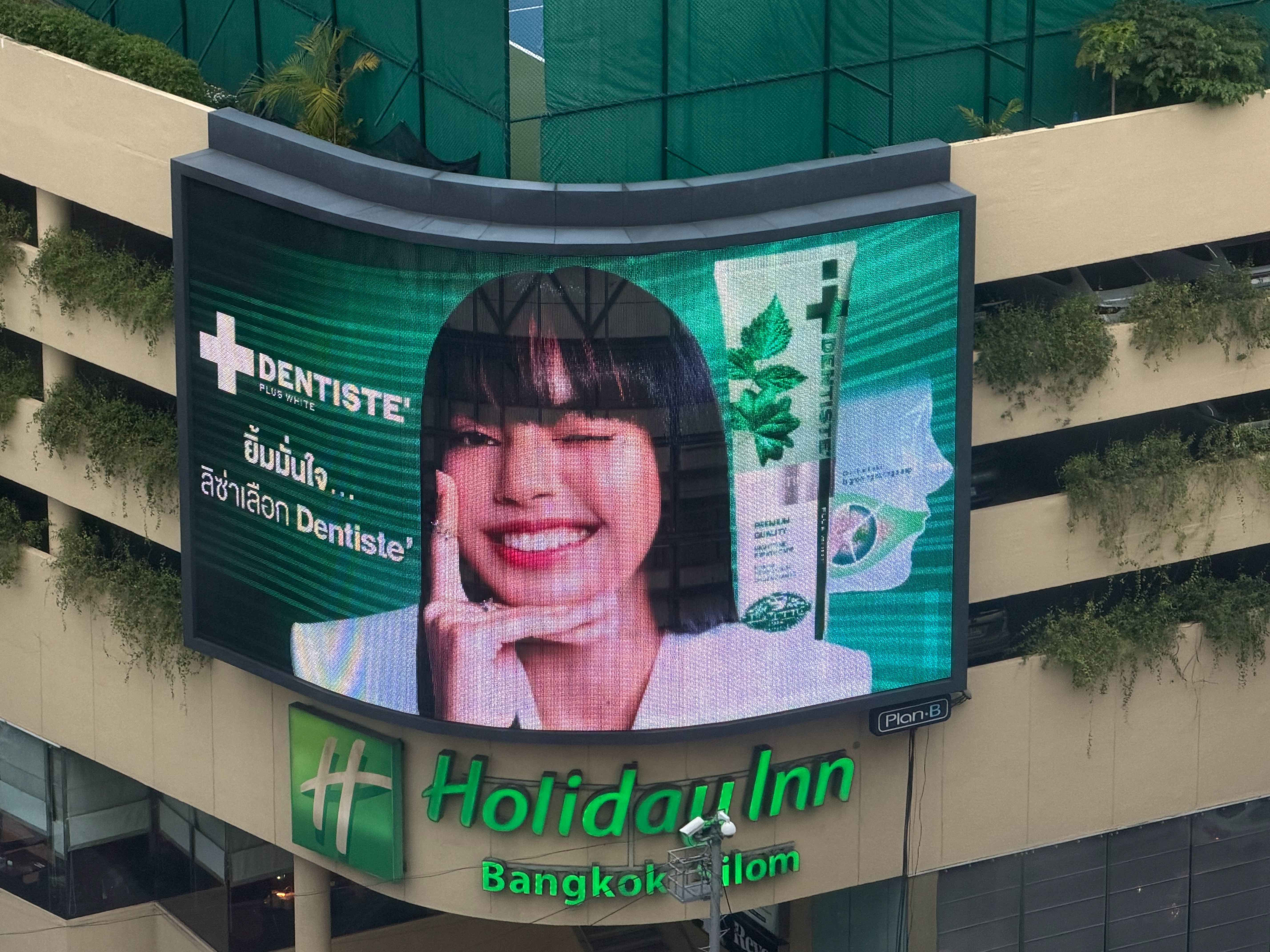 好多Lisa 