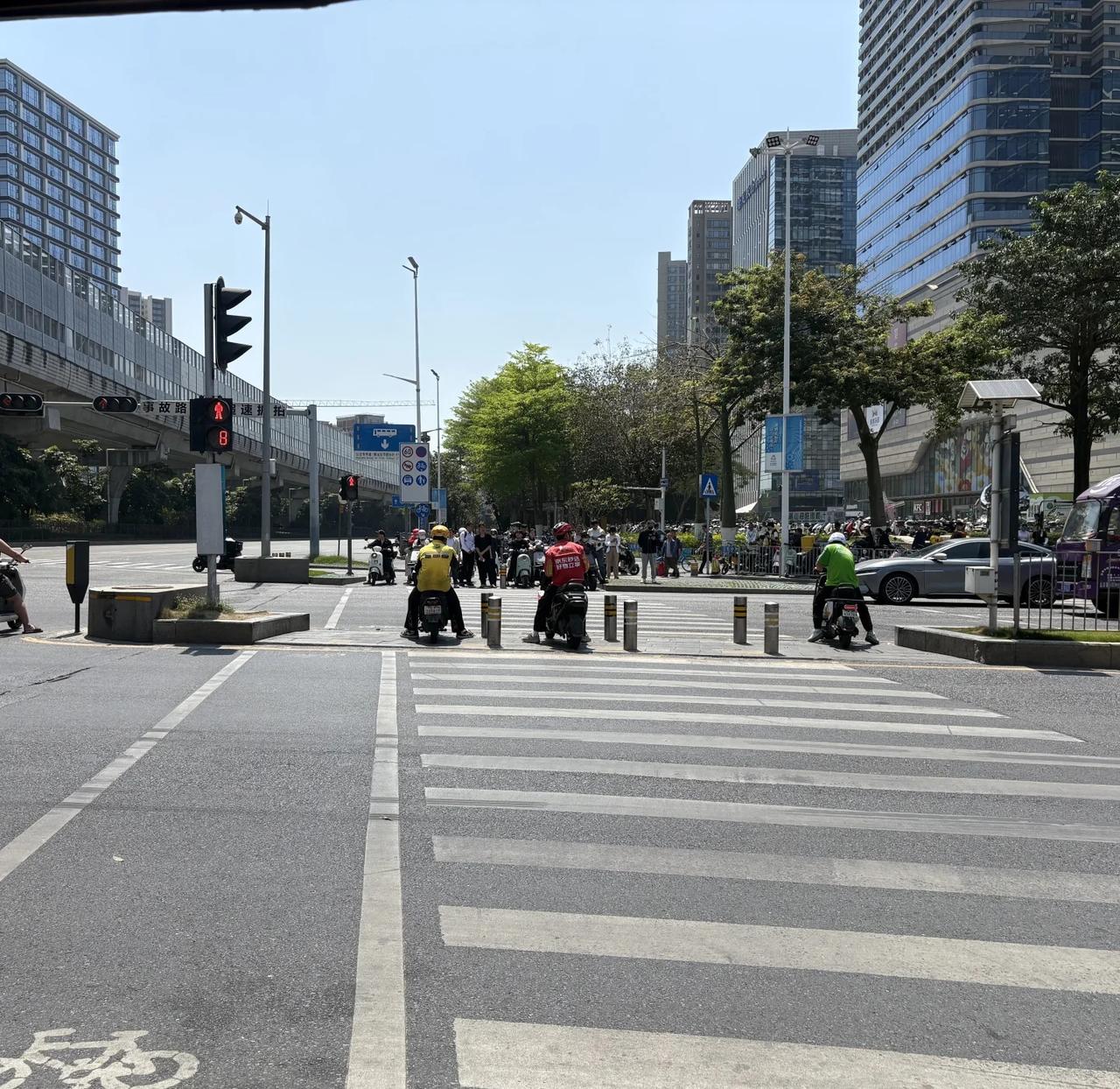 深圳可以入夏了
这个夏天除了热什么都好