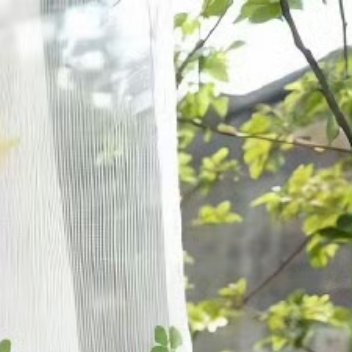 其形也，翩若惊鸿，婉若游龙。荣曜秋菊，华茂春松。仿佛兮若轻云之蔽月，飘飘兮若流风