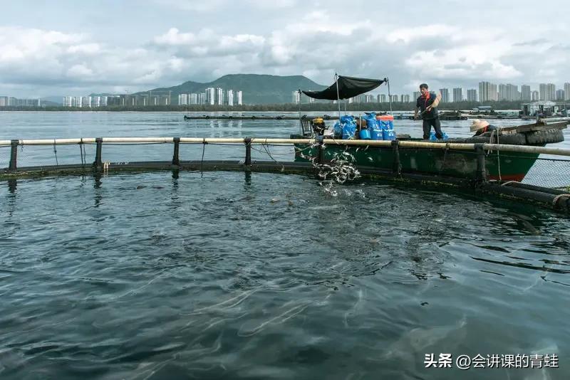 现在去海南旅居养老,有房子租吗?现在房源正充足，因为天气炎热，旅居候鸟陆续返乡。